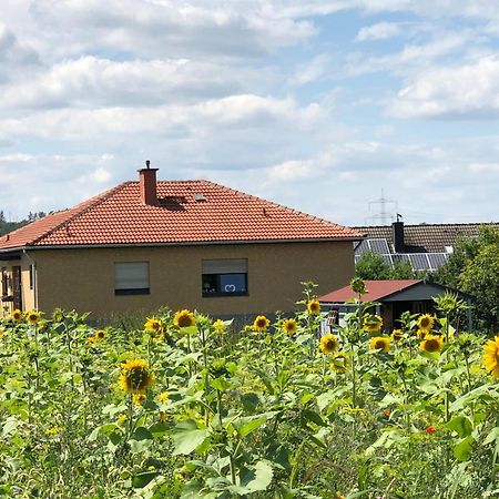 Ferienwohnung Carpe Diem Scheuerfeld Εξωτερικό φωτογραφία