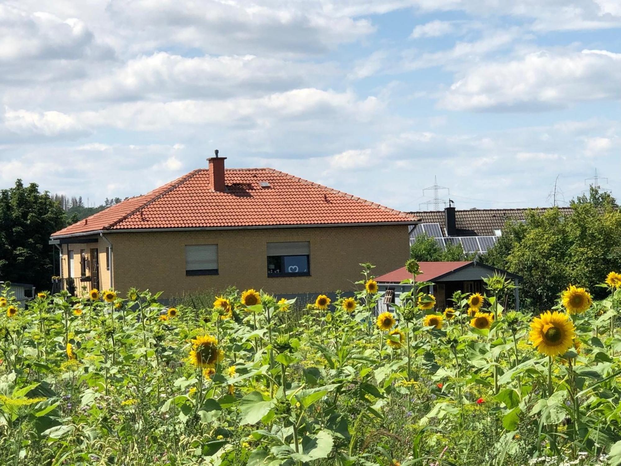 Ferienwohnung Carpe Diem Scheuerfeld Εξωτερικό φωτογραφία